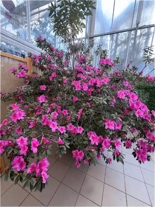 photo by Ana-Maria Ionescu